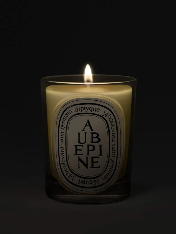 Aubépine (Hawthorn) - Classic Candle