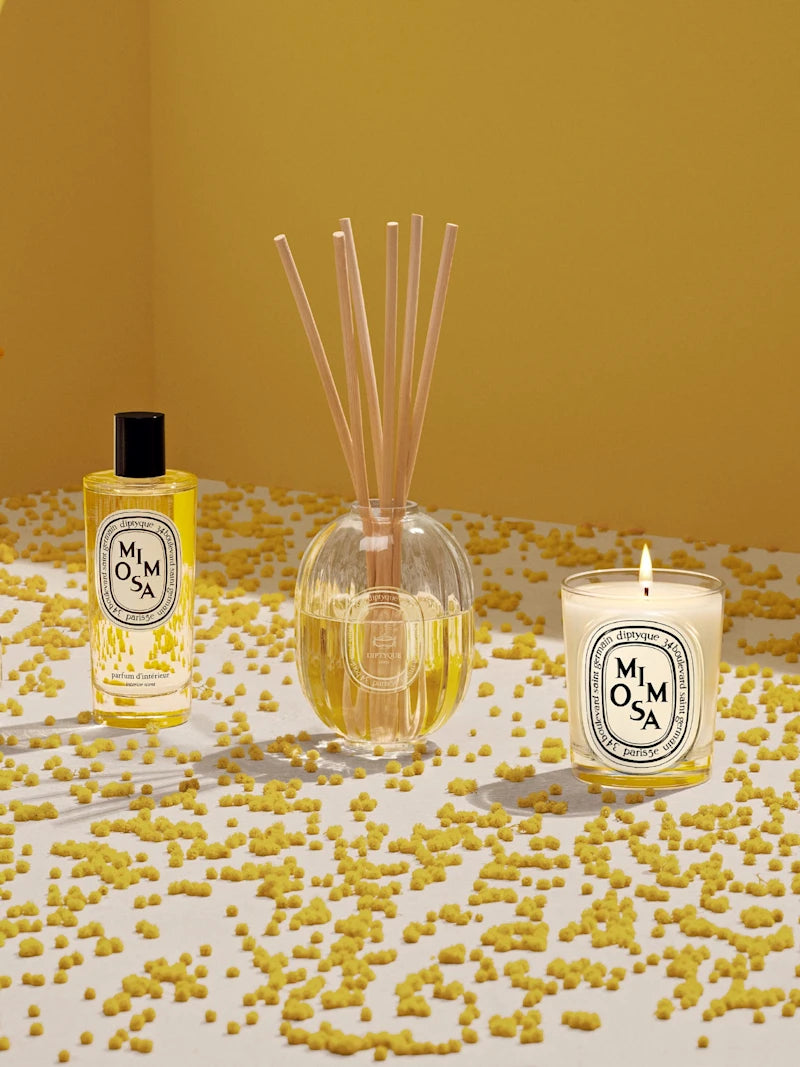 Mimosa